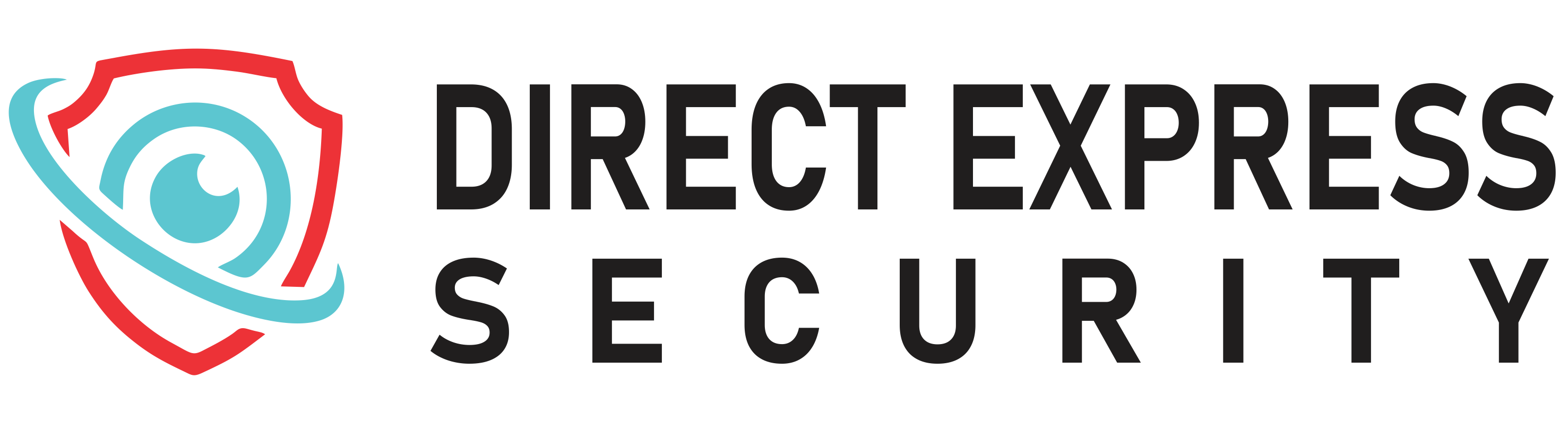Direct Express Security